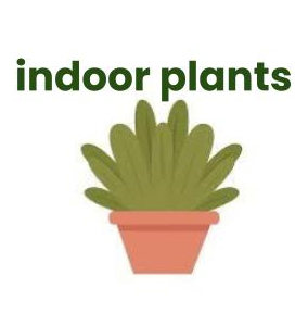 indoor plants